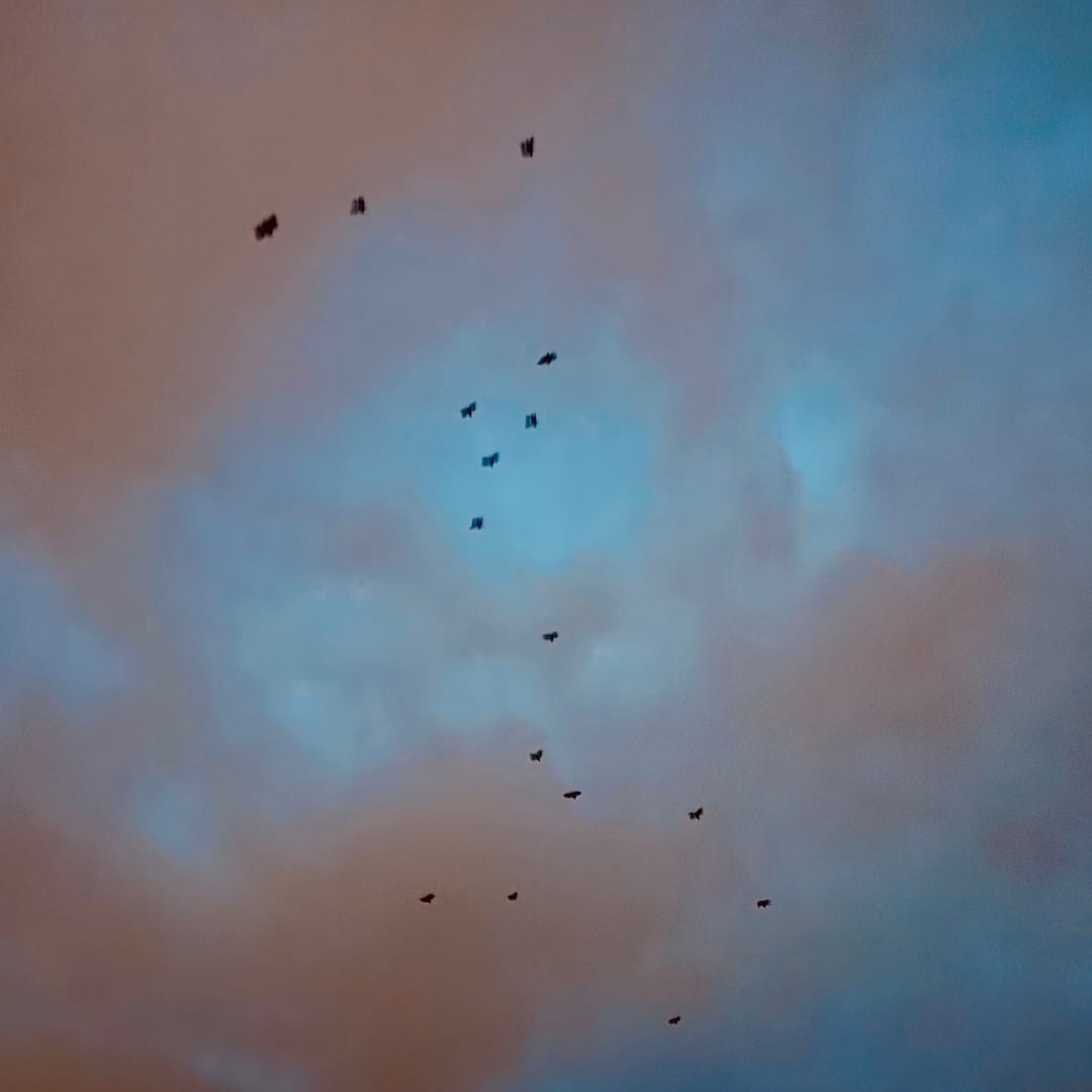 e16 // An extravagant equinox