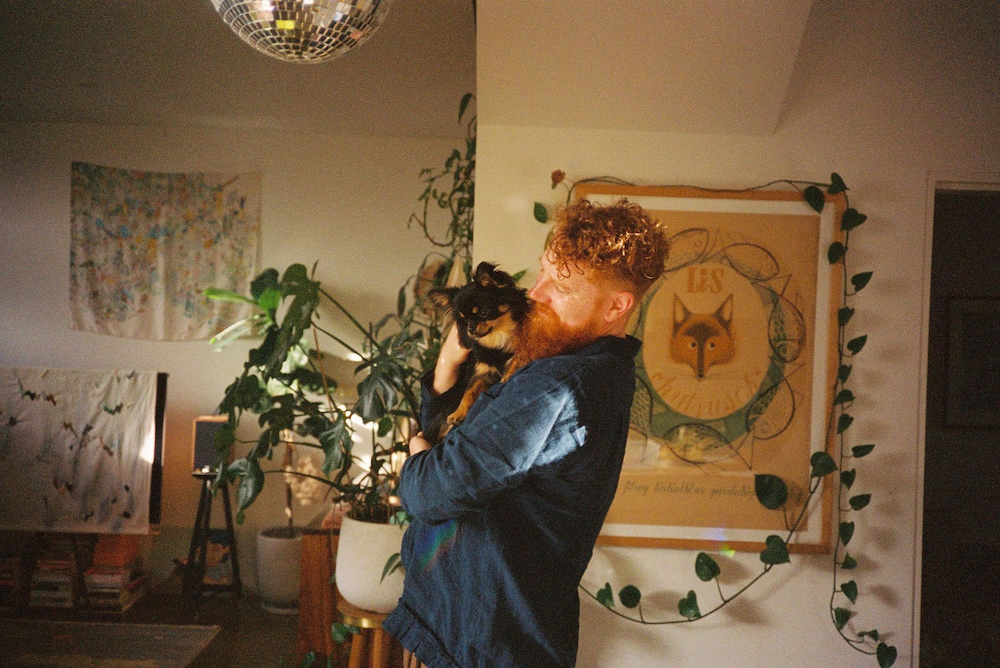 About foxwizard & dr.fox